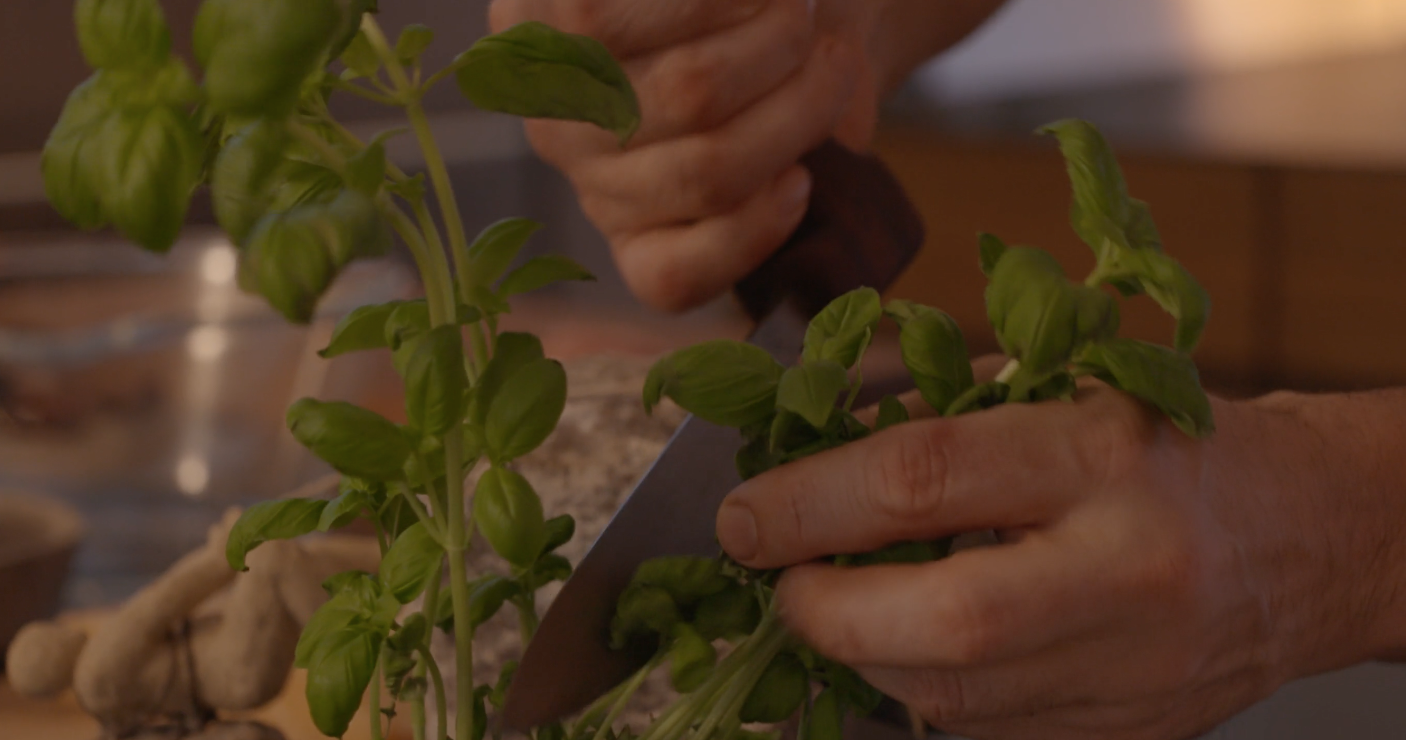 Pasta og kødboller3