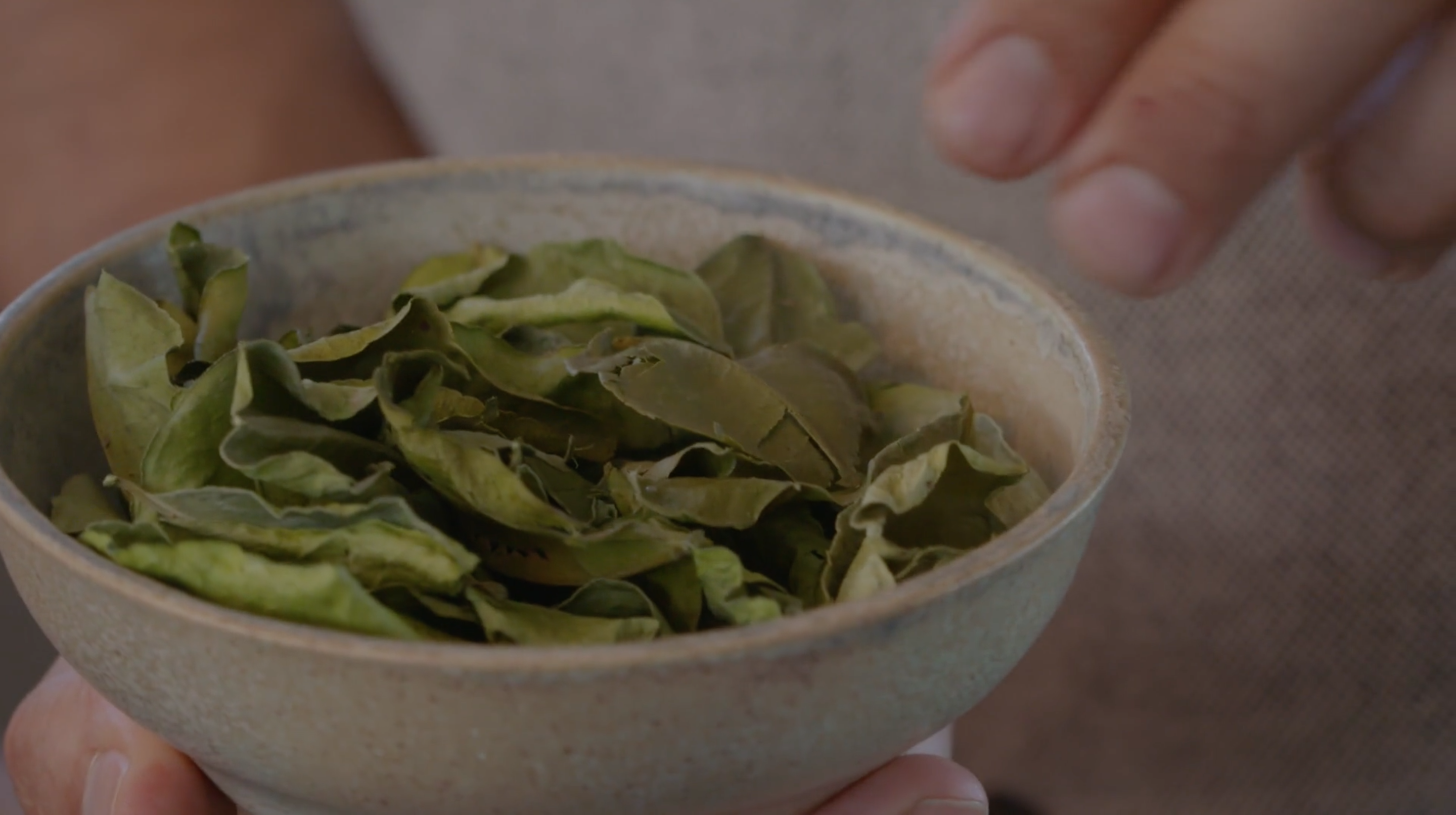 Skærmbillede 2018-08-23 kl. 13.53.22.png