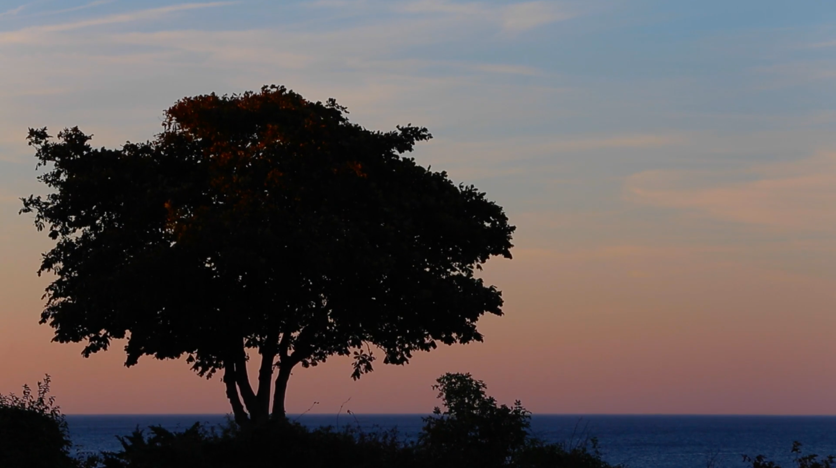 Skærmbillede 2018-11-05 kl. 17.45.17.png