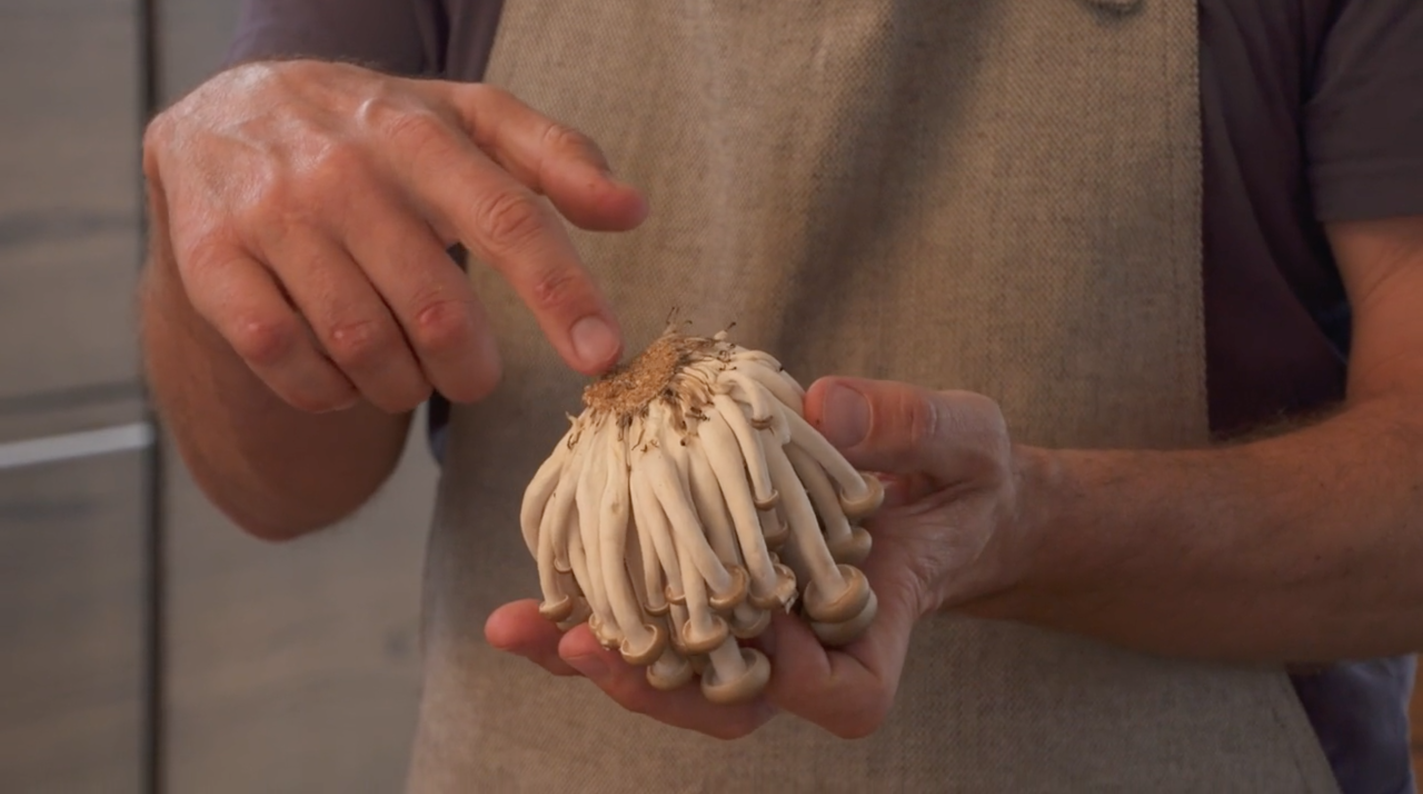 Skærmbillede 2018-11-17 kl. 09.33.57.png