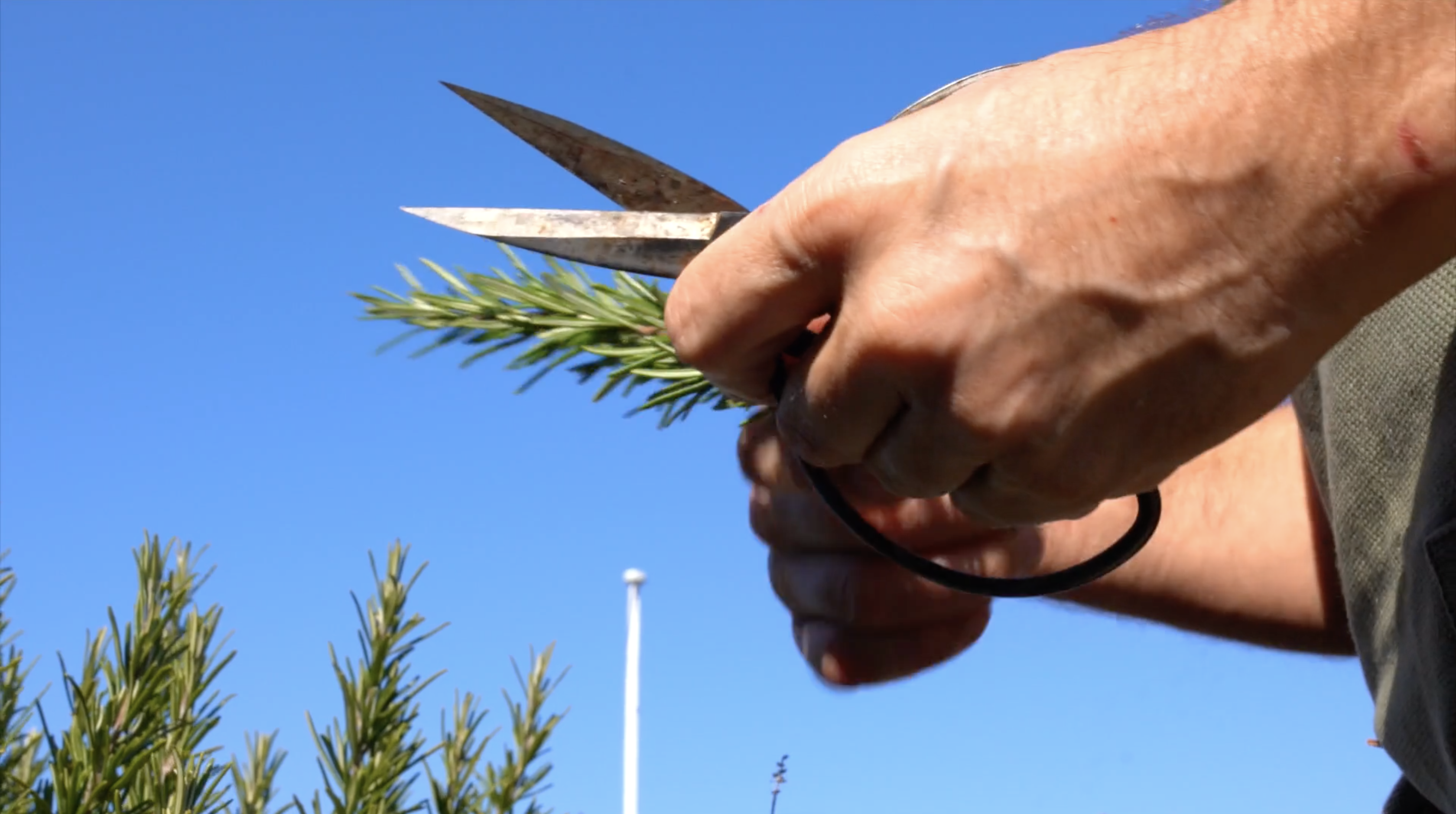 Skærmbillede 2020 05 20 Kl. 20.32.40