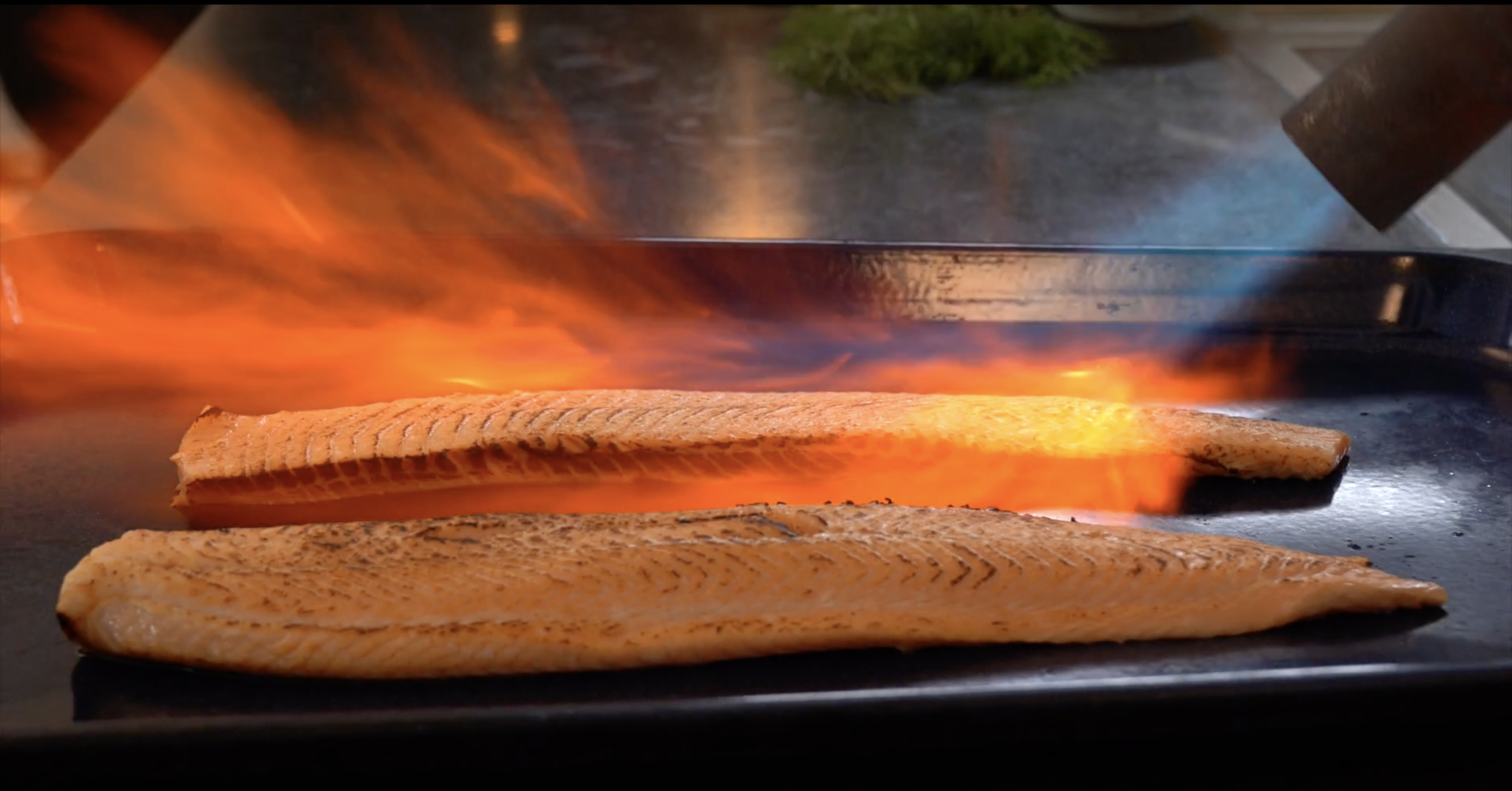 Skærmbillede 2020 06 25 Kl. 12.55.59