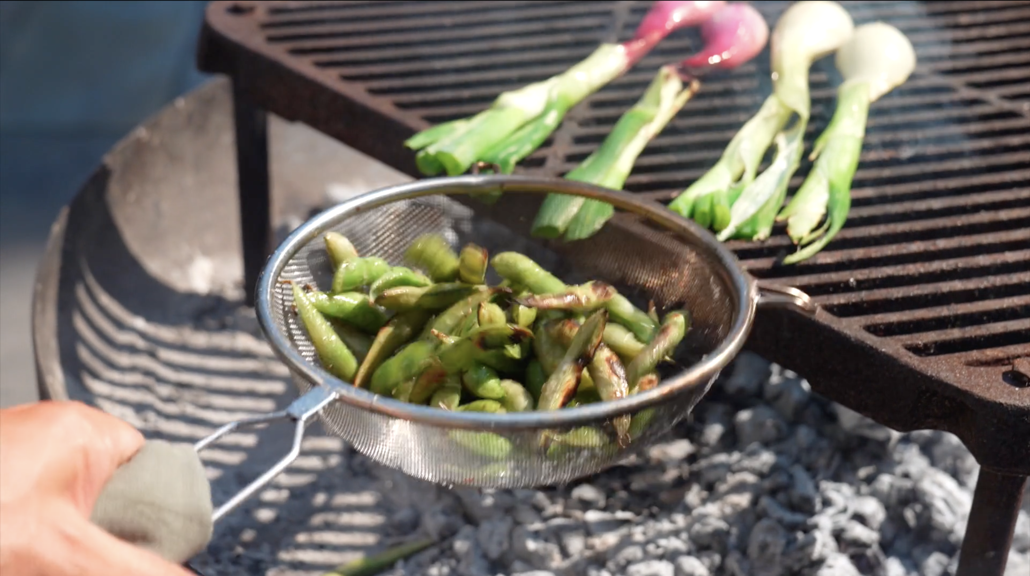 Skærmbillede 2020 07 09 Kl. 12.53.49