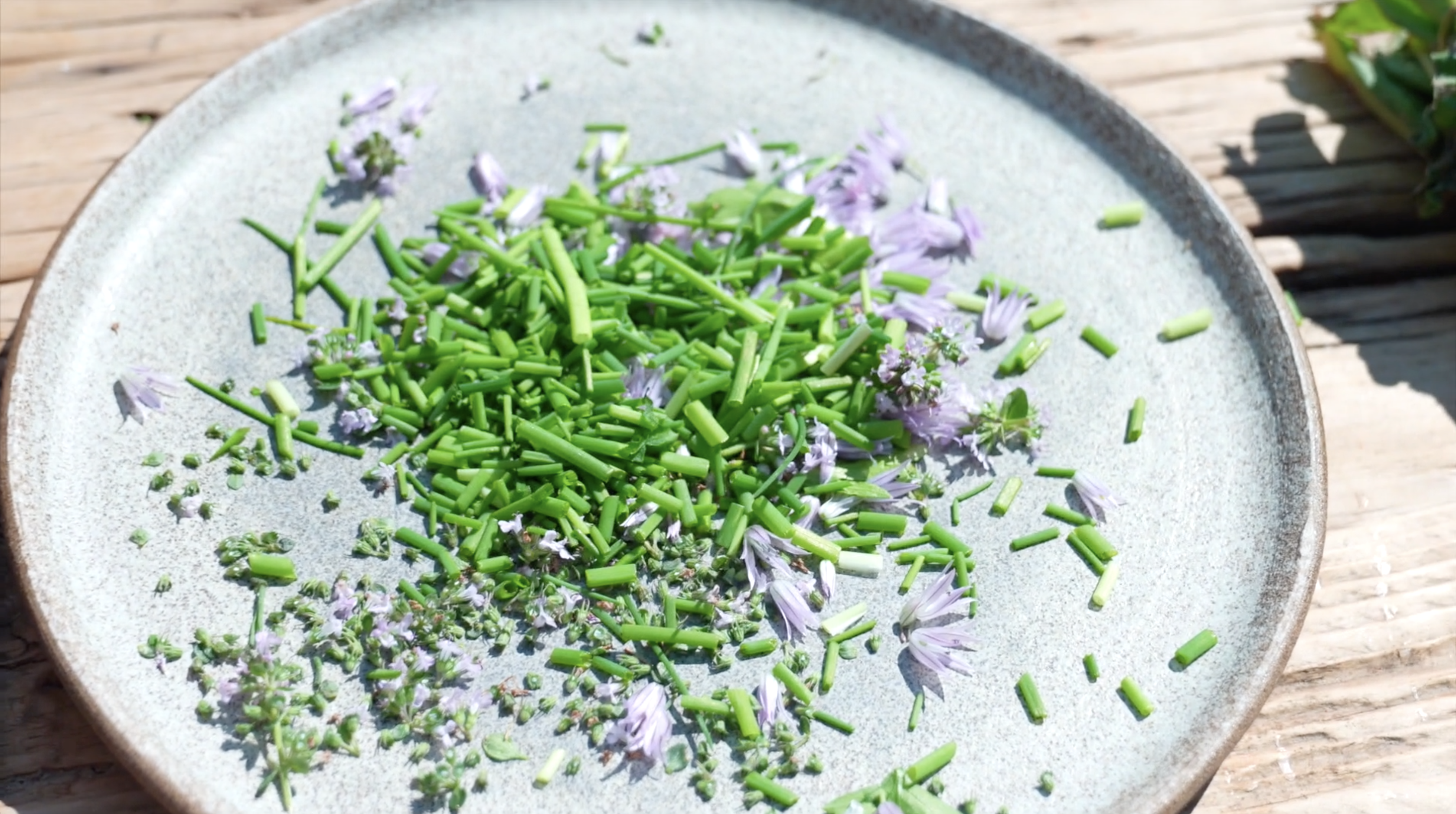 Skærmbillede 2020 07 09 Kl. 12.36.17