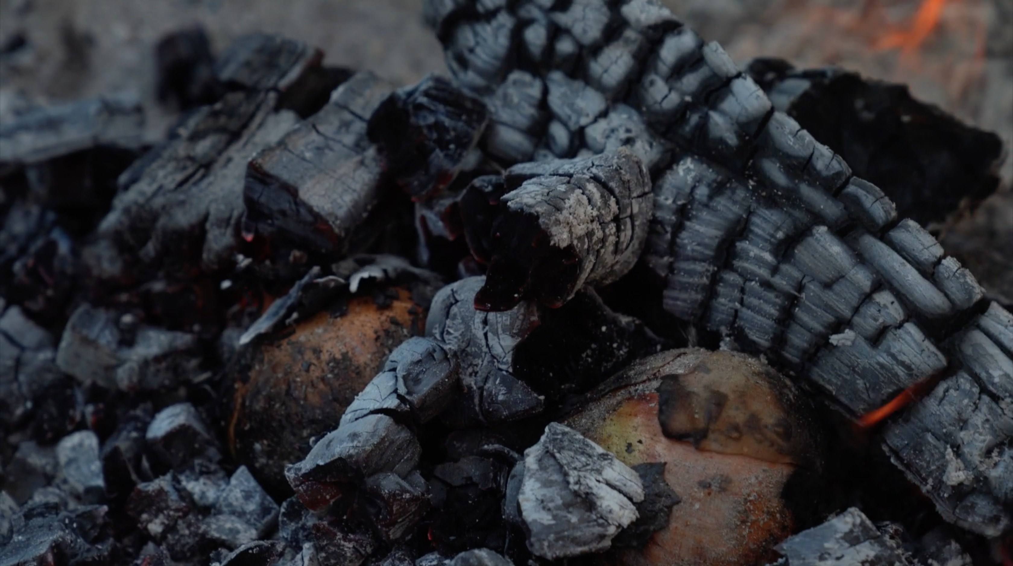 Skærmbillede 2020 07 09 Kl. 12.34.42