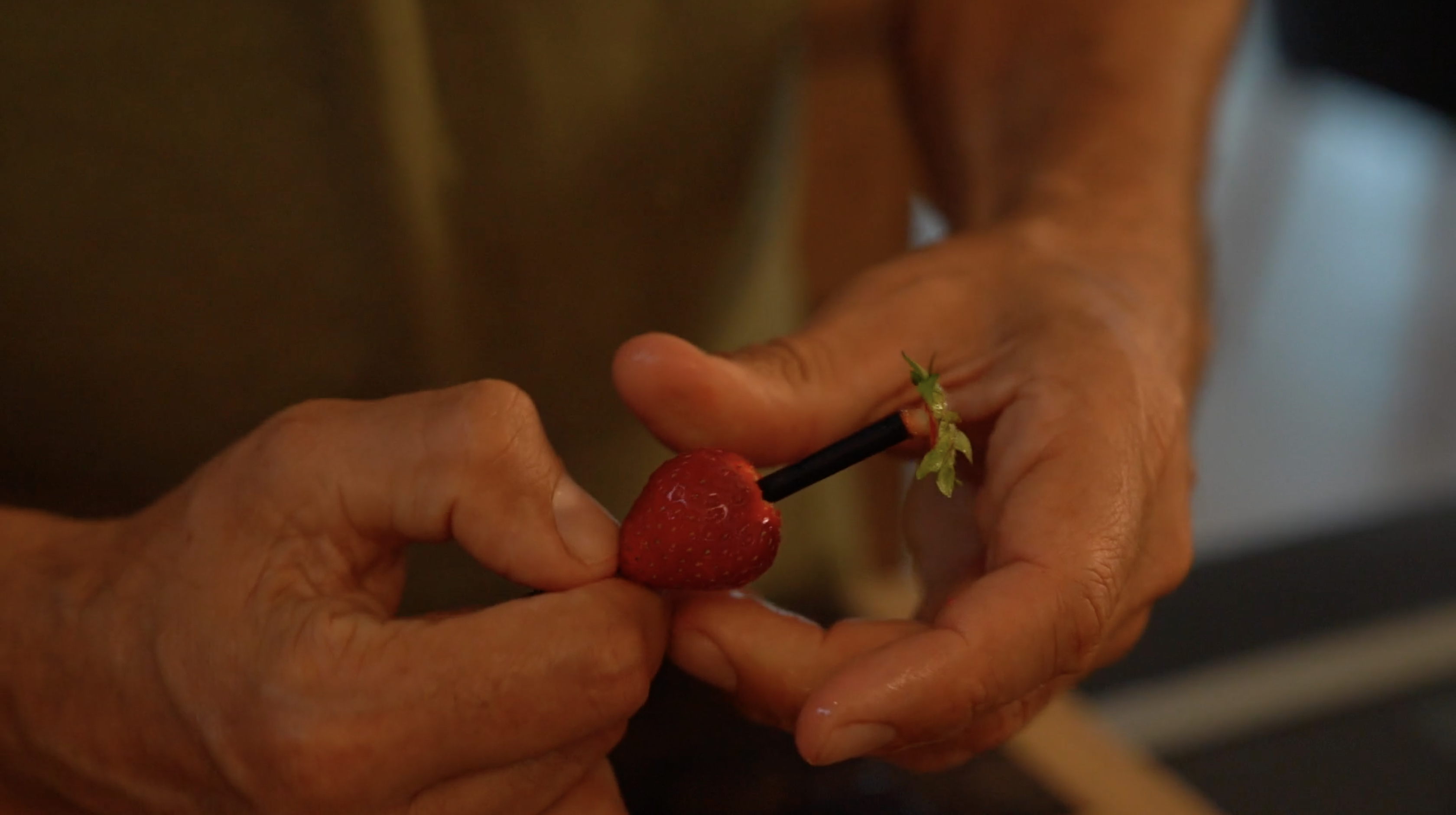 Skærmbillede 2020 07 16 Kl. 12.31.10