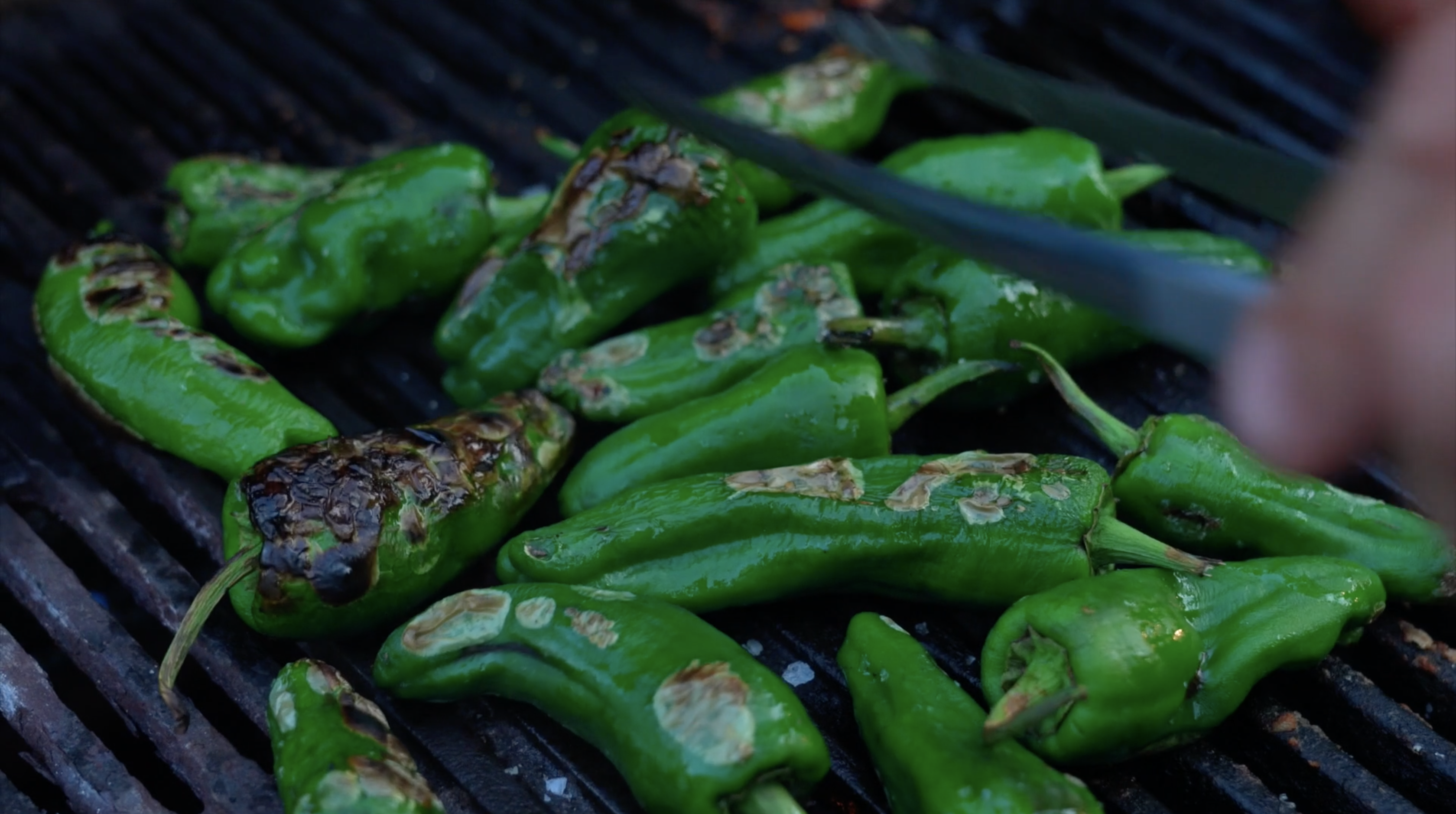 Skærmbillede 2020 07 30 Kl. 16.55.27