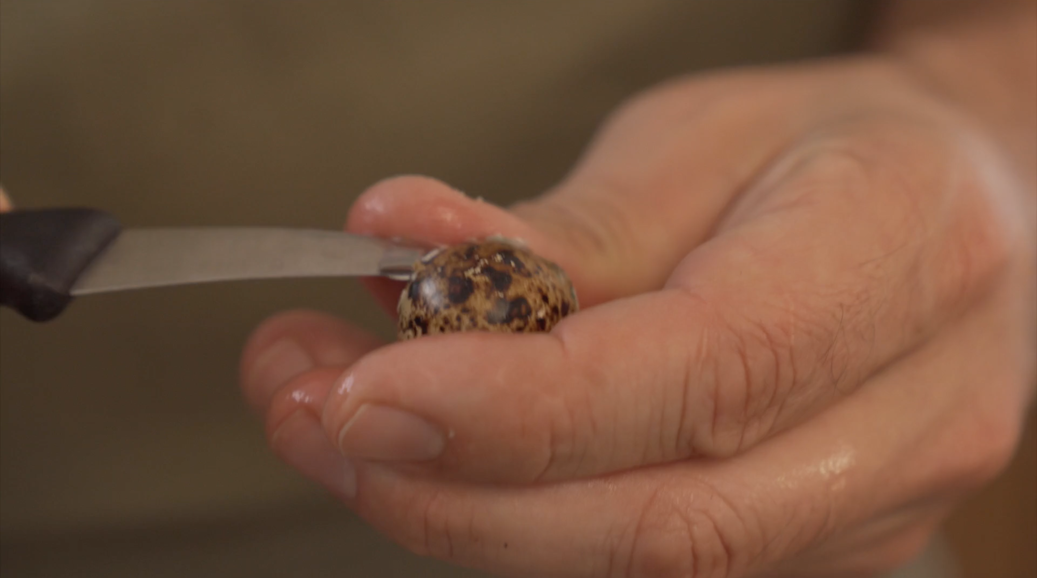 Skærmbillede 2020 11 11 Kl. 20.03.21