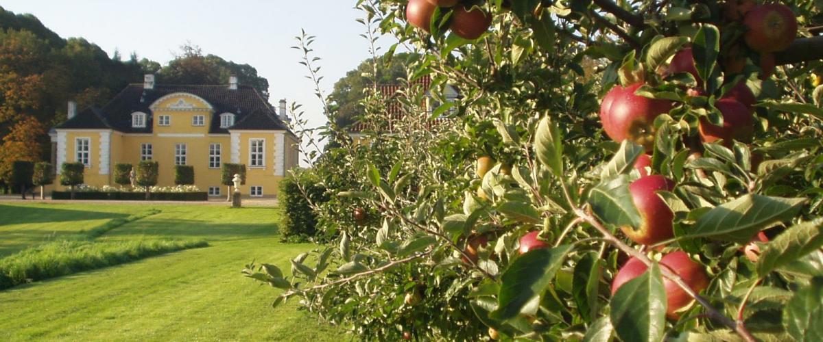 Besøg på frugtplantage